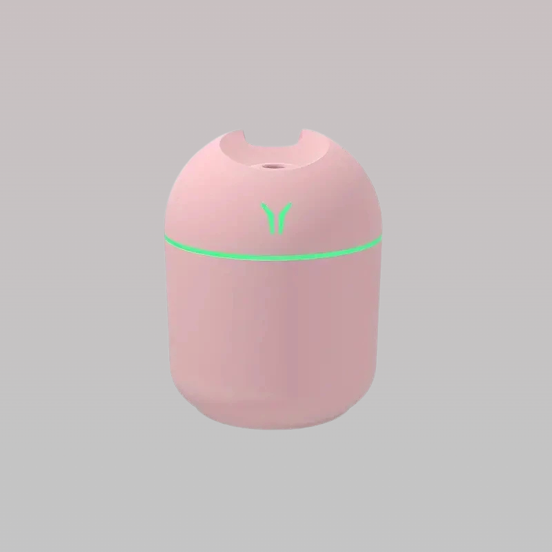 Portable 250ml Mini Air Humidifier Mist Sprayer