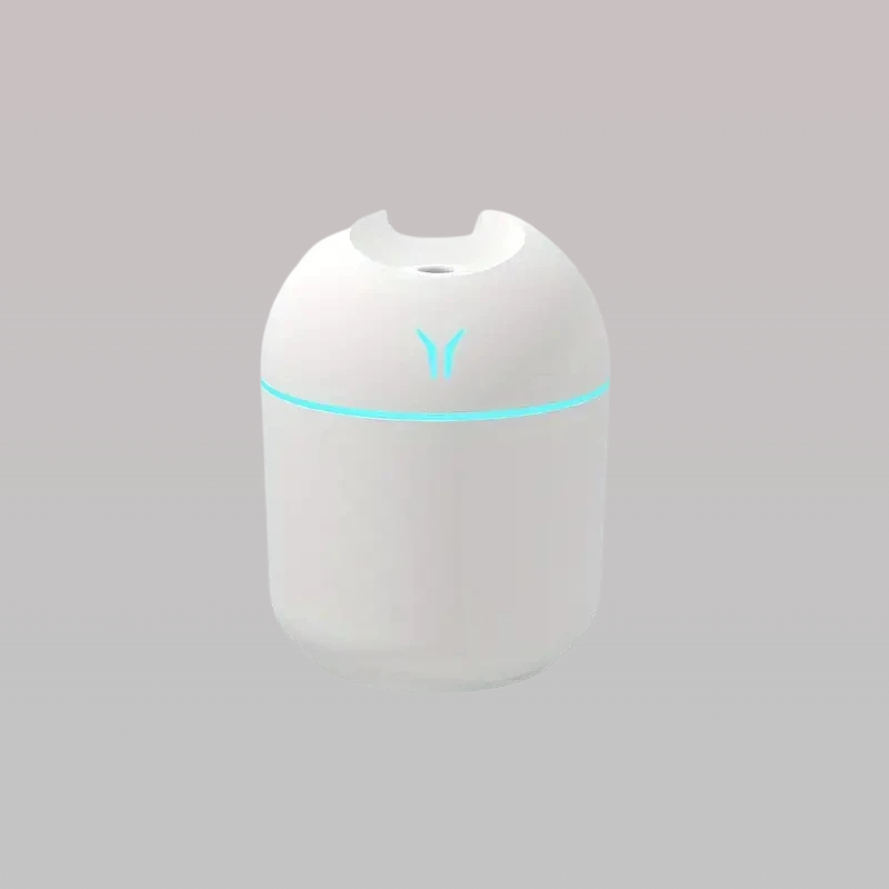 Portable 250ml Mini Air Humidifier Mist Sprayer