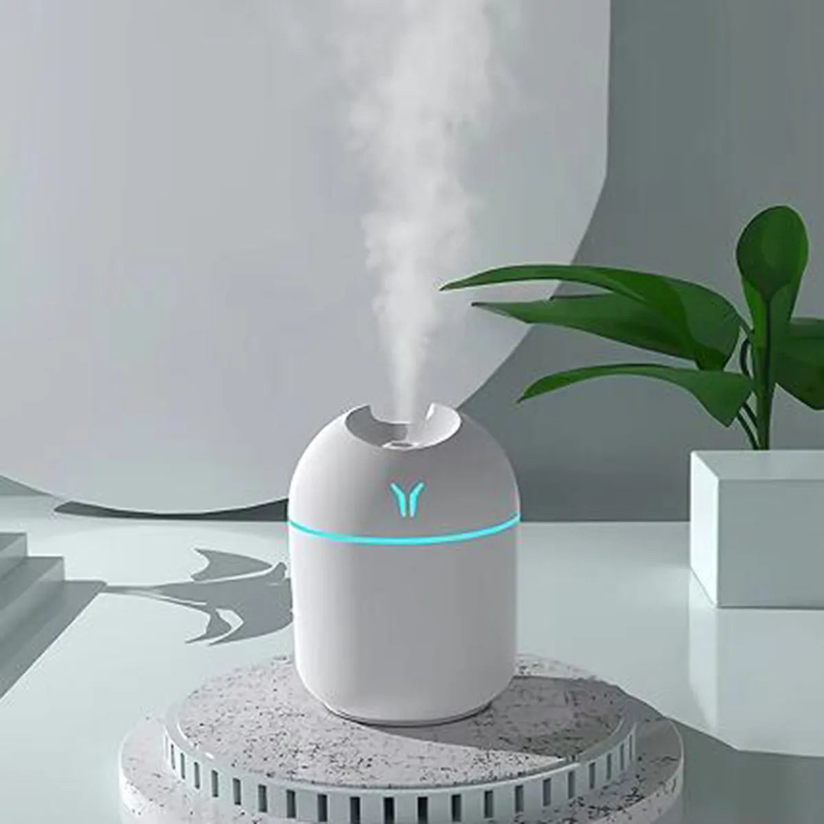 Portable 250ml Mini Air Humidifier Mist Sprayer